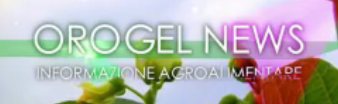 Orogel News playlist web archivio